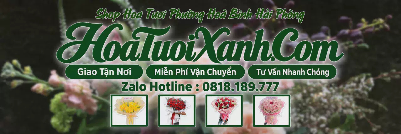 Ảnh bìa Tiệm Hoa Tươi Tại Phường Hoà Bình Hải Phòng, Dịch Vụ Đặt Hoa Trực Tuyến