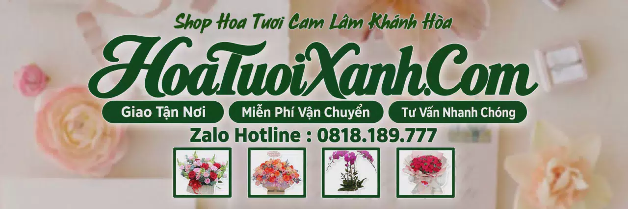 Ảnh bìa Tiệm Hoa Tươi Tại Cam Lâm Khánh Hòa, Đặt Hoa Đẹp Giá Tốt