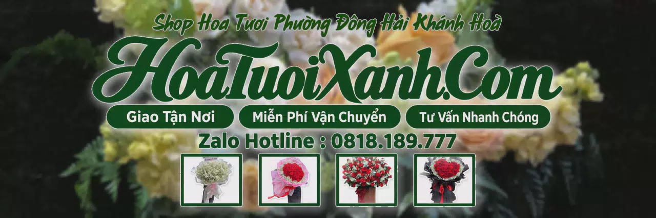 Ảnh bìa Tiệm Hoa Tươi Tại Phường Đông Hải Khánh Hoà, Cửa Hàng Hoa Tươi Uy Tín