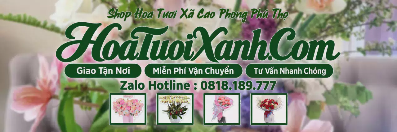 Ảnh bìa Tiệm Hoa Tươi Tại Xã Cao Phong Phú Thọ, Điện Hoa Tận Nơi Giá Tốt