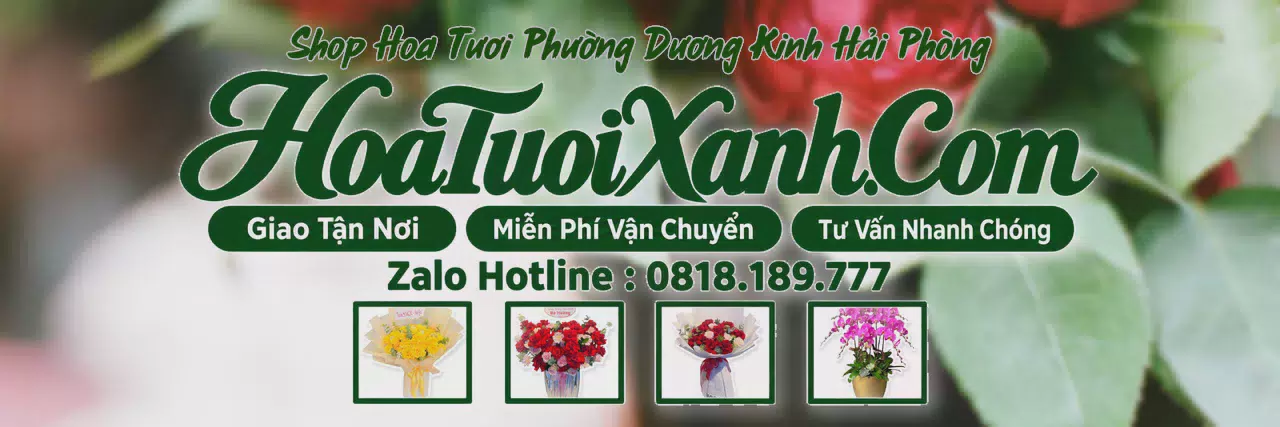 Ảnh bìa Tiệm Hoa Tươi Tại Phường Dương Kinh Hải Phòng, Đặt Hoa Đẹp Giá Tốt