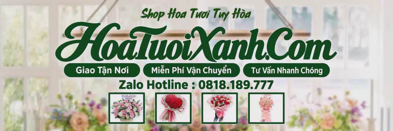 Ảnh bìa Tiệm Hoa Tươi Tại Tuy Hòa, Dịch Vụ Điện Hoa Chuyên Nghiệp
