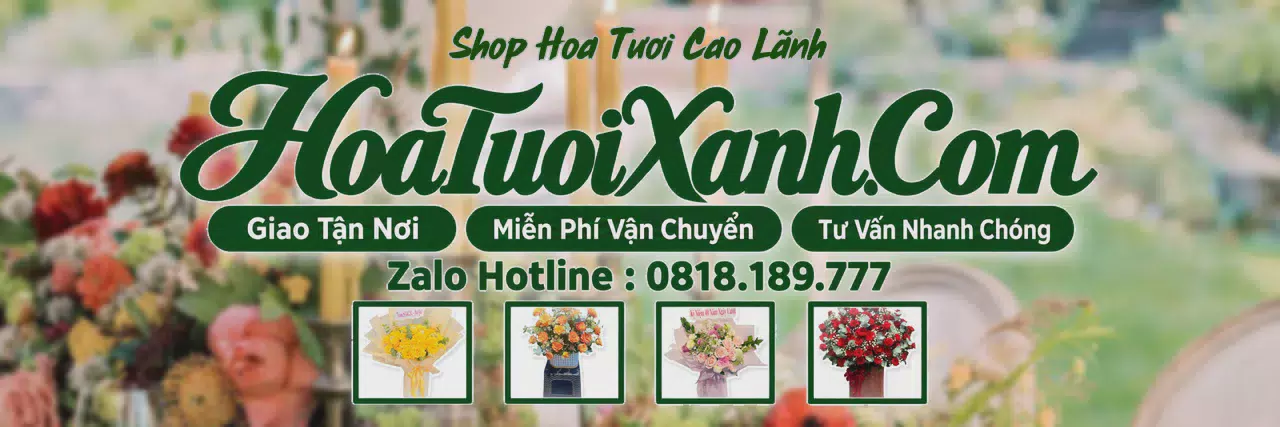Ảnh bìa Tiệm Hoa Tươi Tại Cao Lãnh, Giao Hoa Nhanh Trong 2 Giờ