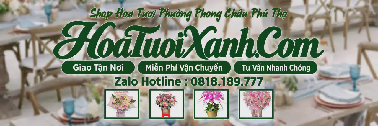 Ảnh bìa Tiệm Hoa Tươi Tại Phường Phong Châu Phú Thọ, Dịch Vụ Điện Hoa Chuyên Nghiệp