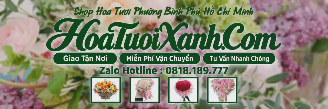 Ảnh bìa Tiệm Hoa Tươi Tại Phường Bình Phú Hồ Chí Minh, Shop Hoa Đẹp Giao Tận Nhà