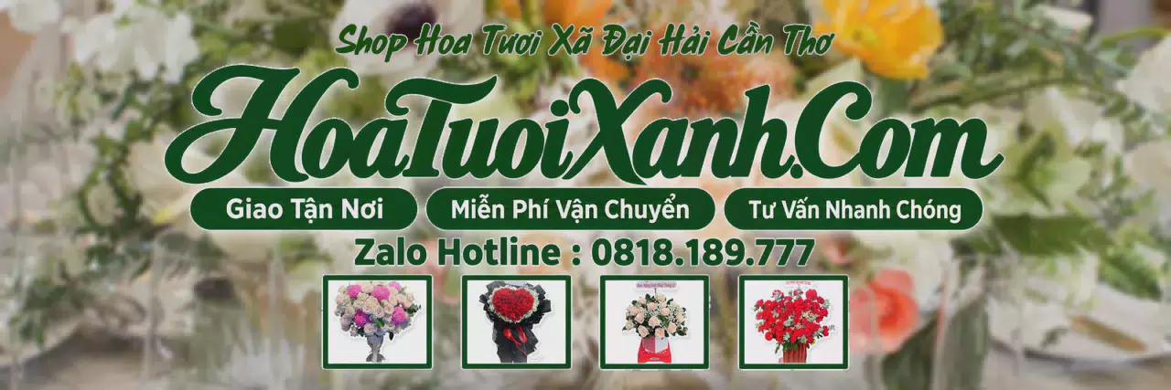 Ảnh bìa Tiệm Hoa Tươi Tại Xã Đại Hải Cần Thơ, Đặt Hoa Tận Nơi Dễ Dàng