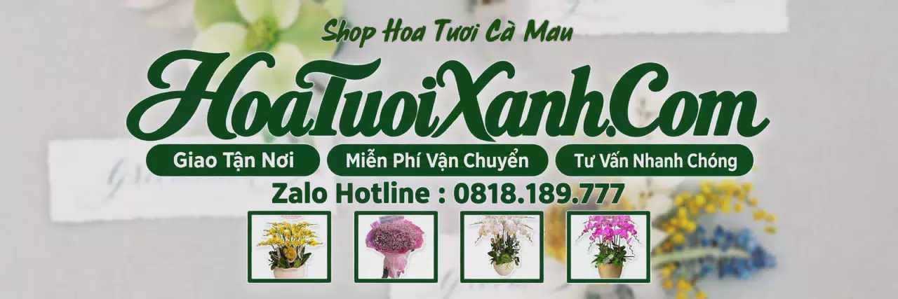 Ảnh bìa Tiệm Hoa Tươi Tại Cà Mau, Đặt Hoa Online Giao Nhanh
