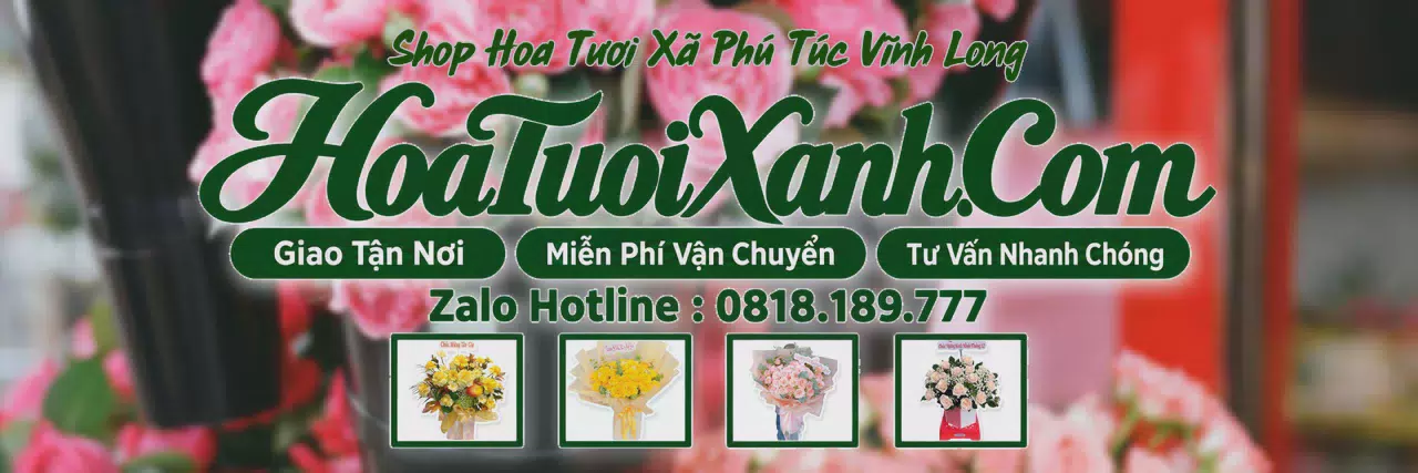 Ảnh bìa Tiệm Hoa Tươi Tại Xã Phú Túc Vĩnh Long, Dịch Vụ Giao Hoa Nhanh