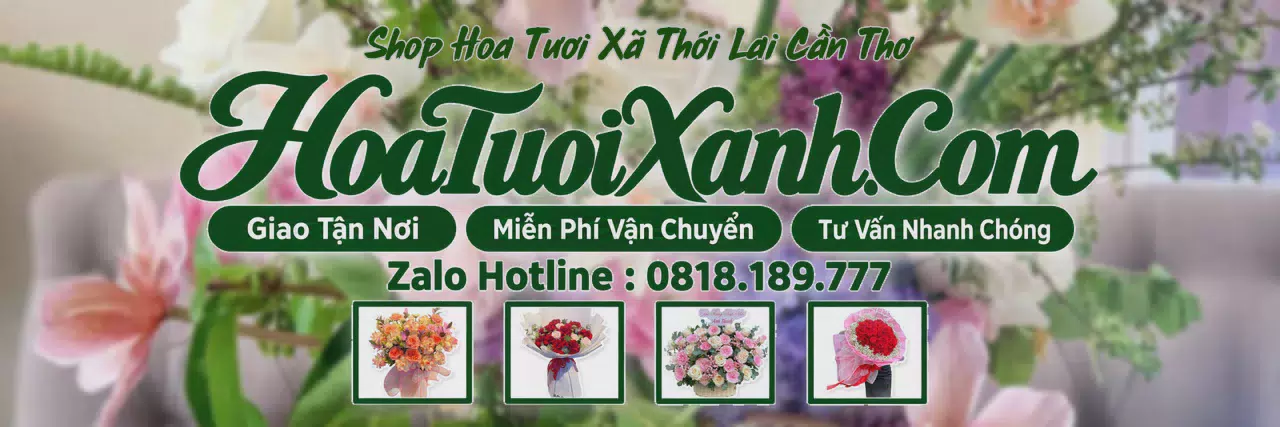 Ảnh bìa Tiệm Hoa Tươi Tại Xã Thới Lai Cần Thơ, Shop Hoa Tươi Chất Lượng