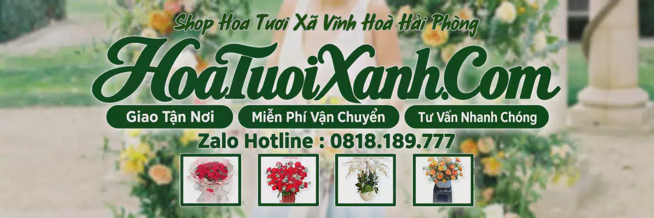 Ảnh bìa Tiệm Hoa Tươi Tại Xã Vĩnh Hoà Hải Phòng, Đặt Hoa Tươi Theo Yêu Cầu