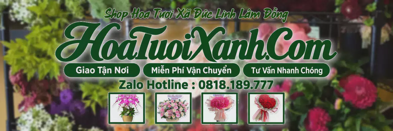 Ảnh bìa Tiệm Hoa Tươi Tại Xã Đức Linh Lâm Đồng, Điện Hoa Giao Tận Nơi