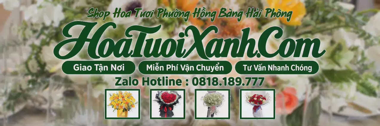 Ảnh bìa Tiệm Hoa Tươi Tại Phường Hồng Bàng Hải Phòng, Đặt Hoa Tươi Theo Yêu Cầu