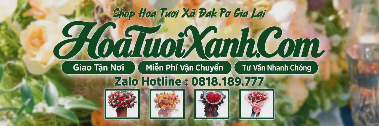Ảnh bìa Tiệm Hoa Tươi Tại Xã Đak Pơ Gia Lai, Shop Hoa Đẹp Giao Tận Nhà