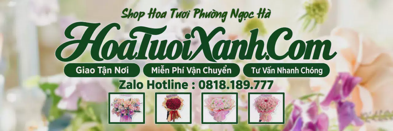 Ảnh bìa Tiệm Hoa Tươi Tại Phường Ngọc Hà, Shop Hoa Đẹp Giao Tận Nhà