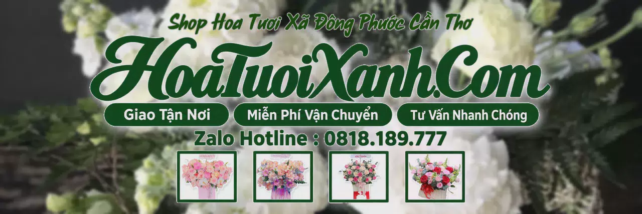Ảnh bìa Tiệm Hoa Tươi Tại Xã Đông Phước Cần Thơ, Hoa Tươi Mới Mỗi Ngày