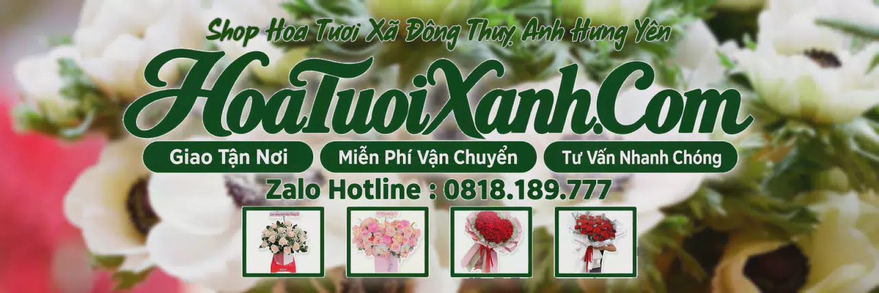 Ảnh bìa Tiệm Hoa Tươi Tại Xã Đông Thuỵ Anh Hưng Yên, Đặt Hoa Online Giao Nhanh
