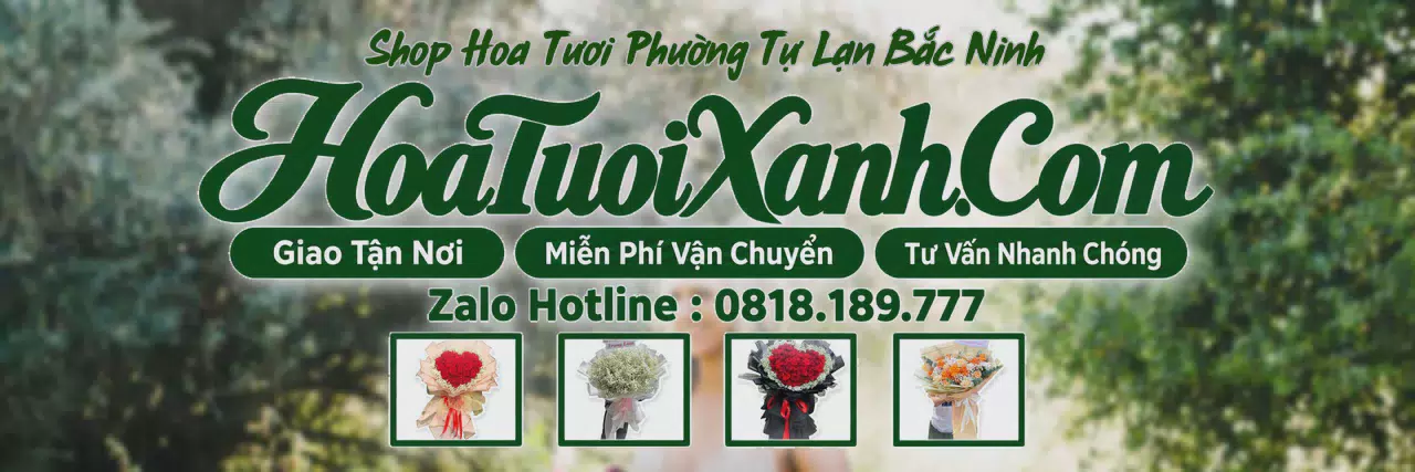 Ảnh bìa Tiệm Hoa Tươi Tại Phường Tự Lạn Bắc Ninh, Shop Hoa Đẹp Giao Tận Nhà