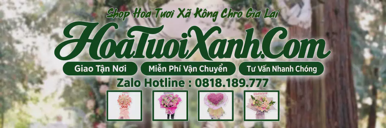 Ảnh bìa Tiệm Hoa Tươi Tại Xã Kông Chro Gia Lai, Đặt Hoa Tươi Theo Yêu Cầu
