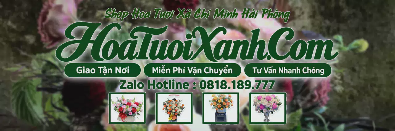 Ảnh bìa Tiệm Hoa Tươi Tại Xã Chí Minh Hải Phòng, Dịch Vụ Giao Hoa Nhanh