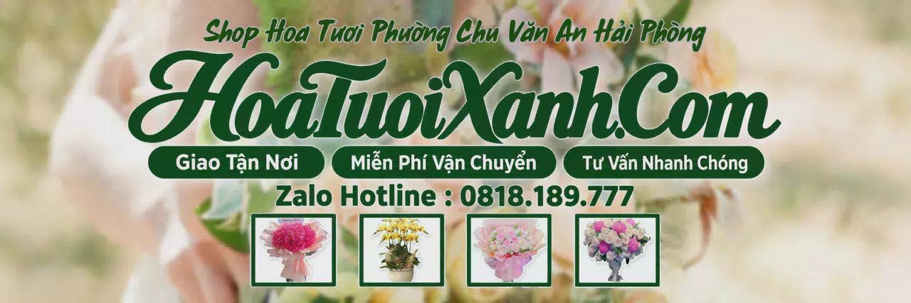 Ảnh bìa Tiệm Hoa Tươi Tại Phường Chu Văn An Hải Phòng, Tiệm Hoa Đẹp Giá Hợp Lý