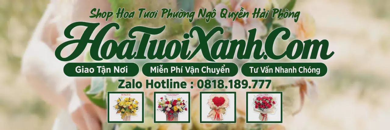 Ảnh bìa Tiệm Hoa Tươi Tại Phường Ngô Quyền Hải Phòng, Đặt Hoa Tươi Trực Tuyến