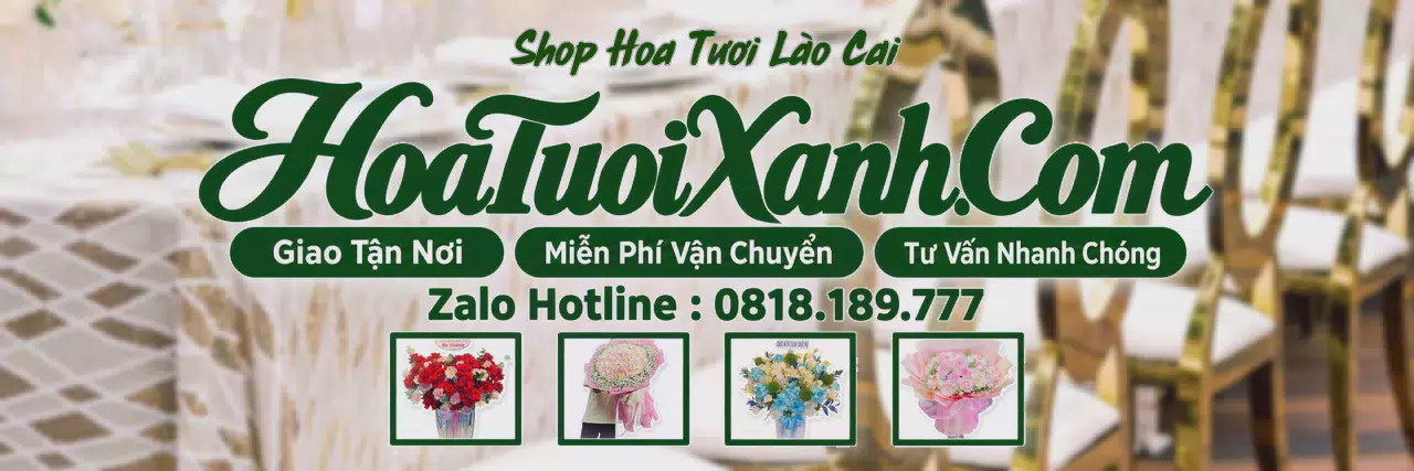 Ảnh bìa Tiệm Hoa Tươi Tại Lào Cai, Điện Hoa Tươi Giá Tốt