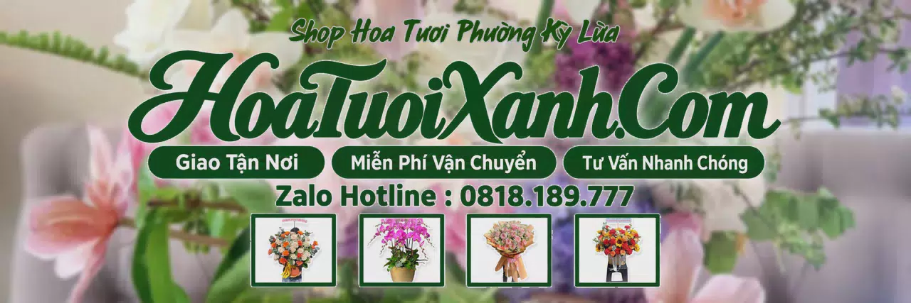 Ảnh bìa Tiệm Hoa Tươi Tại Phường Kỳ Lừa, Cửa Hàng Hoa Tươi Uy Tín