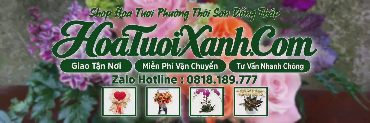 Ảnh bìa Tiệm Hoa Tươi Tại Phường Thới Sơn Đồng Tháp, Giao Hoa Tận Nơi
