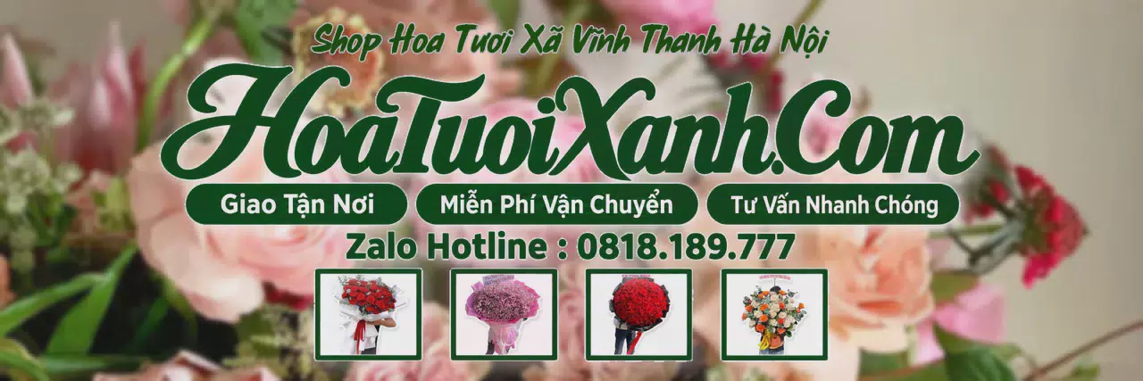 Ảnh bìa Tiệm Hoa Tươi Tại Xã Vĩnh Thanh Hà Nội, Cửa Hàng Hoa Tươi Giá Tốt