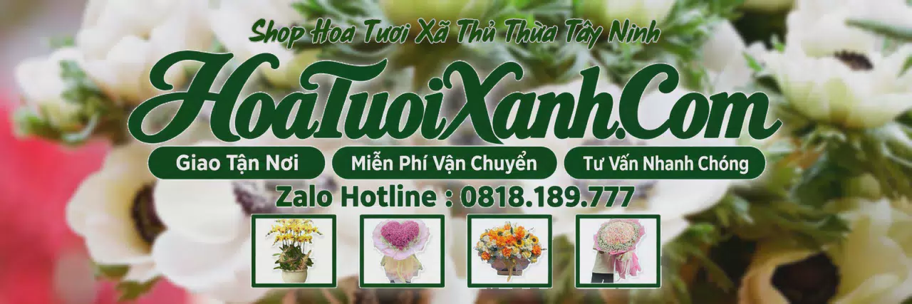 Ảnh bìa Tiệm Hoa Tươi Tại Xã Thủ Thừa Tây Ninh, Dịch Vụ Giao Hoa Chuyên Nghiệp