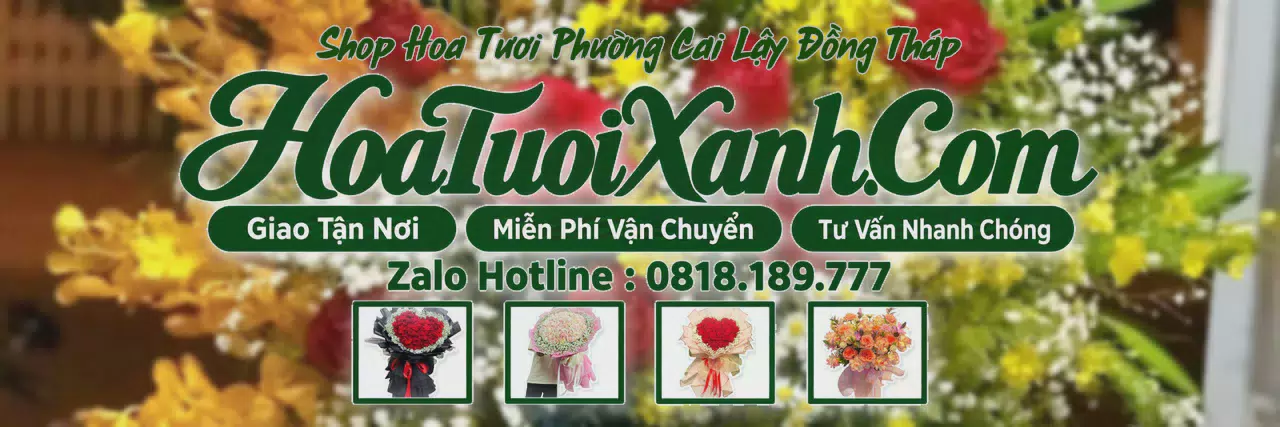 Ảnh bìa Tiệm Hoa Tươi Tại Phường Cai Lậy Đồng Tháp, Đặt Hoa Đẹp Giá Tốt