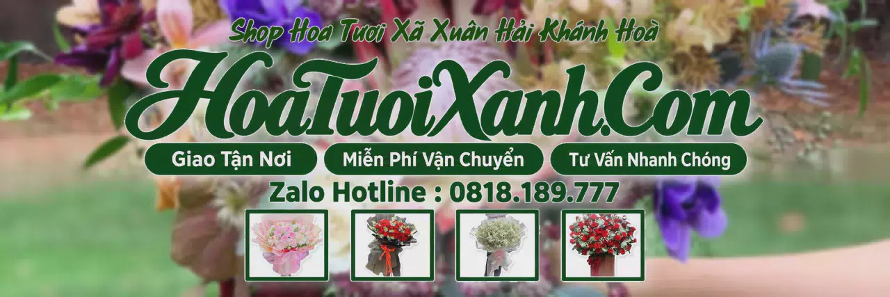 Ảnh bìa Tiệm Hoa Tươi Tại Xã Xuân Hải Khánh Hoà, Đặt Hoa Tươi Theo Yêu Cầu
