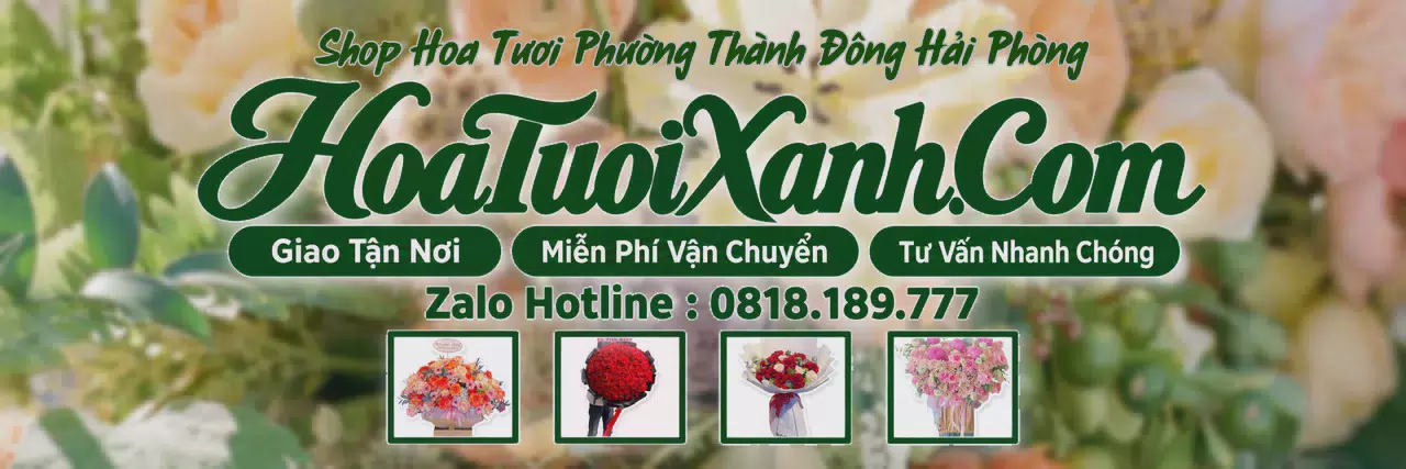 Ảnh bìa Tiệm Hoa Tươi Tại Phường Thành Đông Hải Phòng, Tiệm Hoa Giao Hàng Tận Nơi
