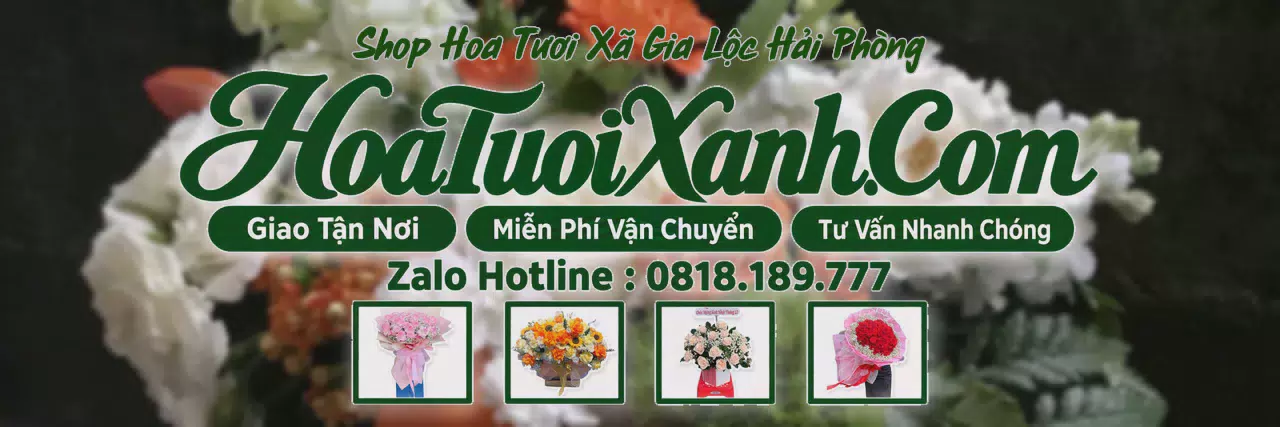 Ảnh bìa Tiệm Hoa Tươi Tại Xã Gia Lộc Hải Phòng, Dịch Vụ Giao Hoa Nhanh