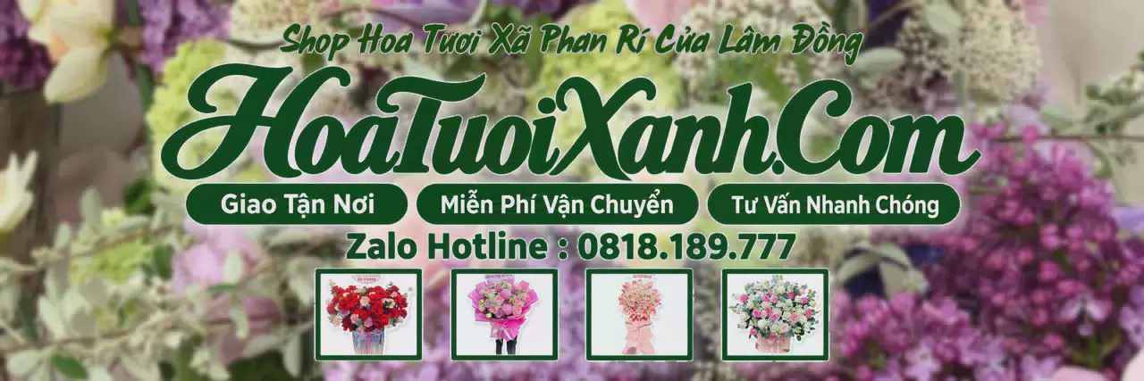 Ảnh bìa Tiệm Hoa Tươi Tại Xã Phan Rí Cửa Lâm Đồng, Điện Hoa Tươi Giá Tốt