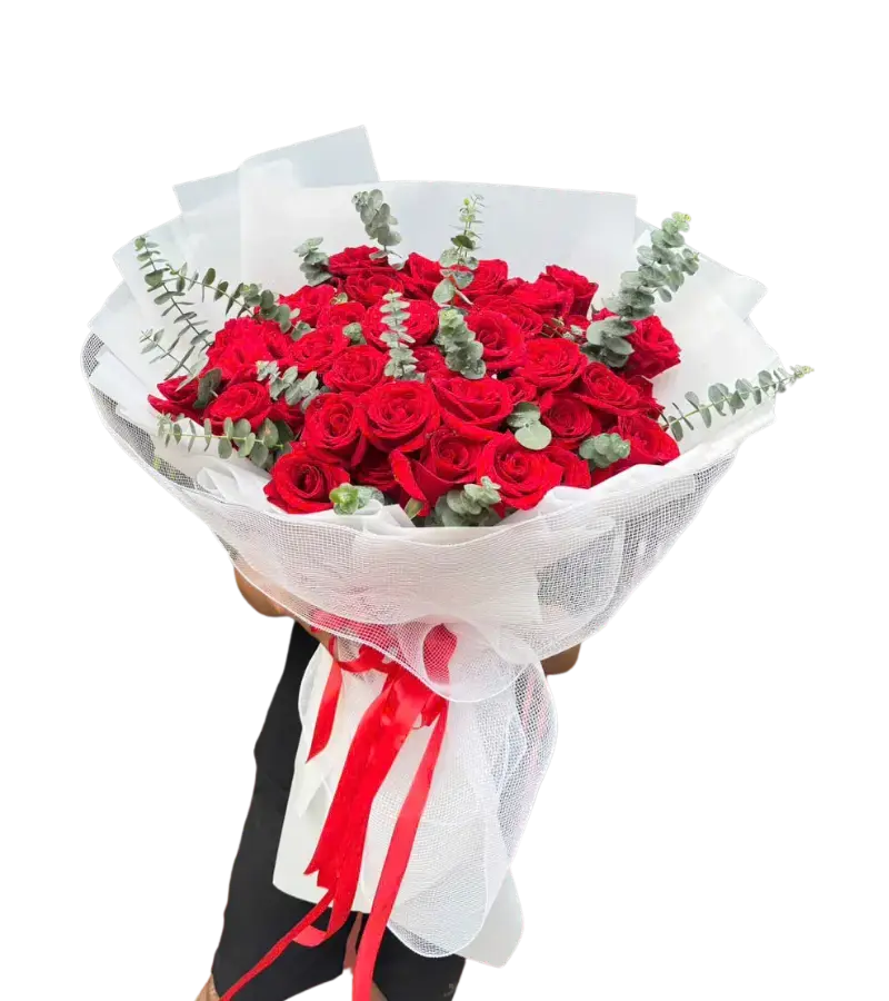 Bó hoa hồng đỏ lớn tán tròn gói giấy trắng lưới