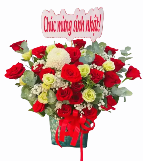 Giỏ hoa hồng đỏ cúc trắng chúc mừng sinh nhật