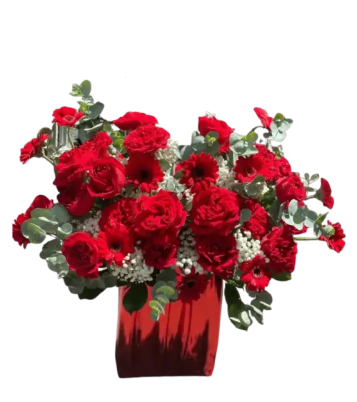 Giỏ hoa hồng đỏ phối cúc đồng tiền và cẩm chướng đỏ giỏ đỏ