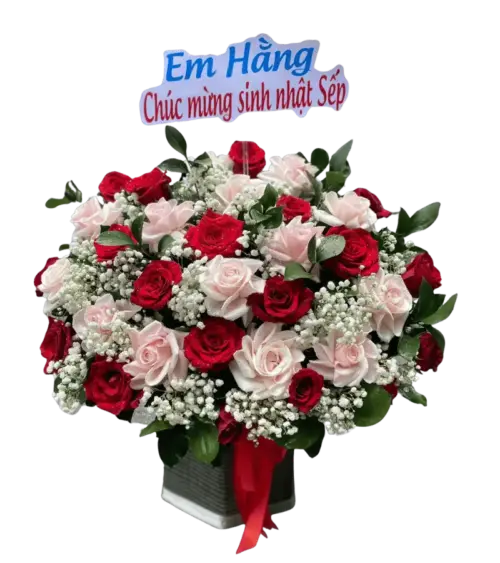 Giỏ hoa hồng đỏ phối hồng phấn chúc mừng sinh nhật sếp