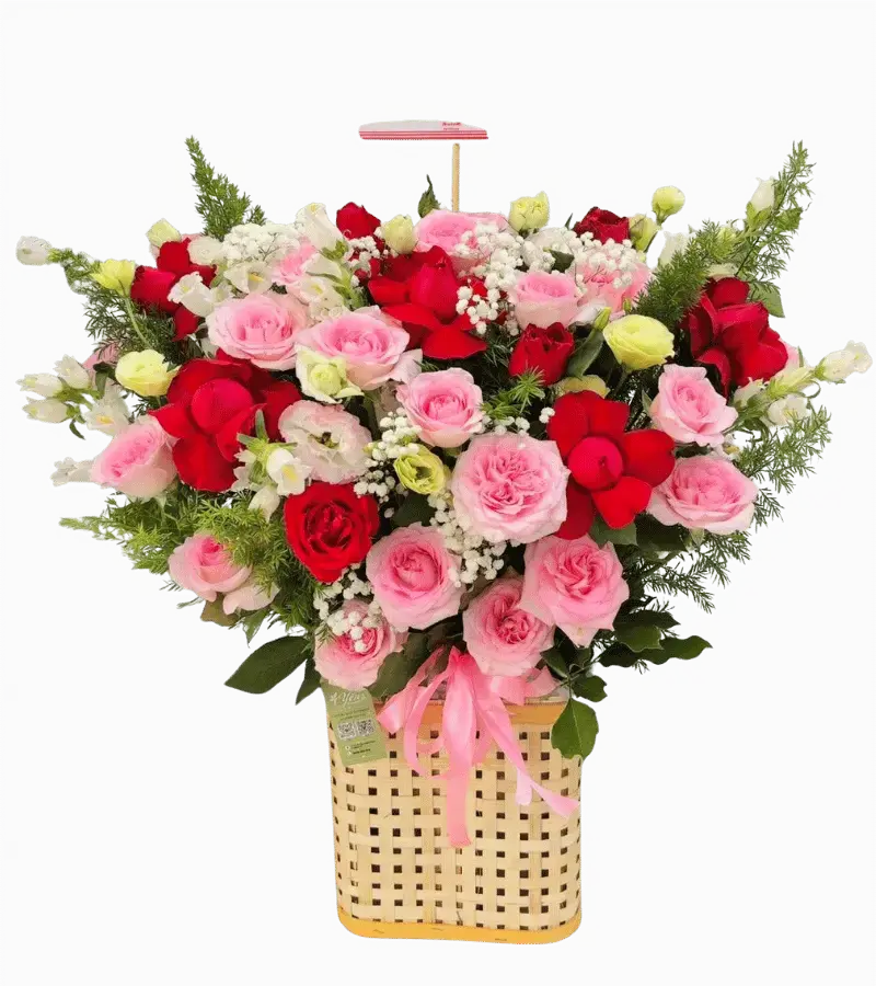 Giỏ hoa hồng phấn đỏ trắng phối lá dương xỉ