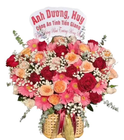 Giỏ hoa khai trương cam hồng đỏ cúc đồng tiền