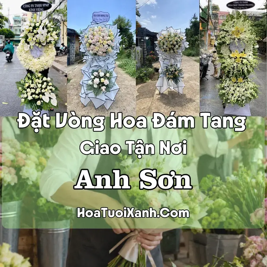 Hoa Đám Tang Anh Sơn (Xã Anh Sơn, Nghệ An mới)