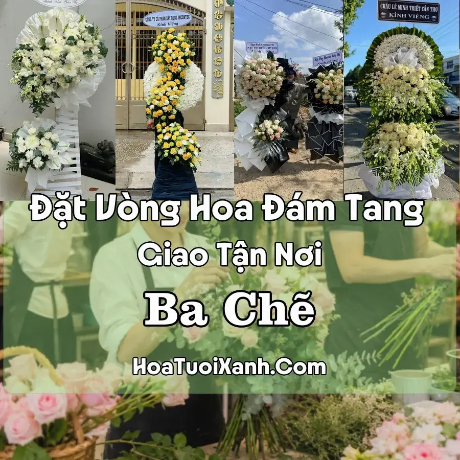 Hoa đám tang Ba Chẽ