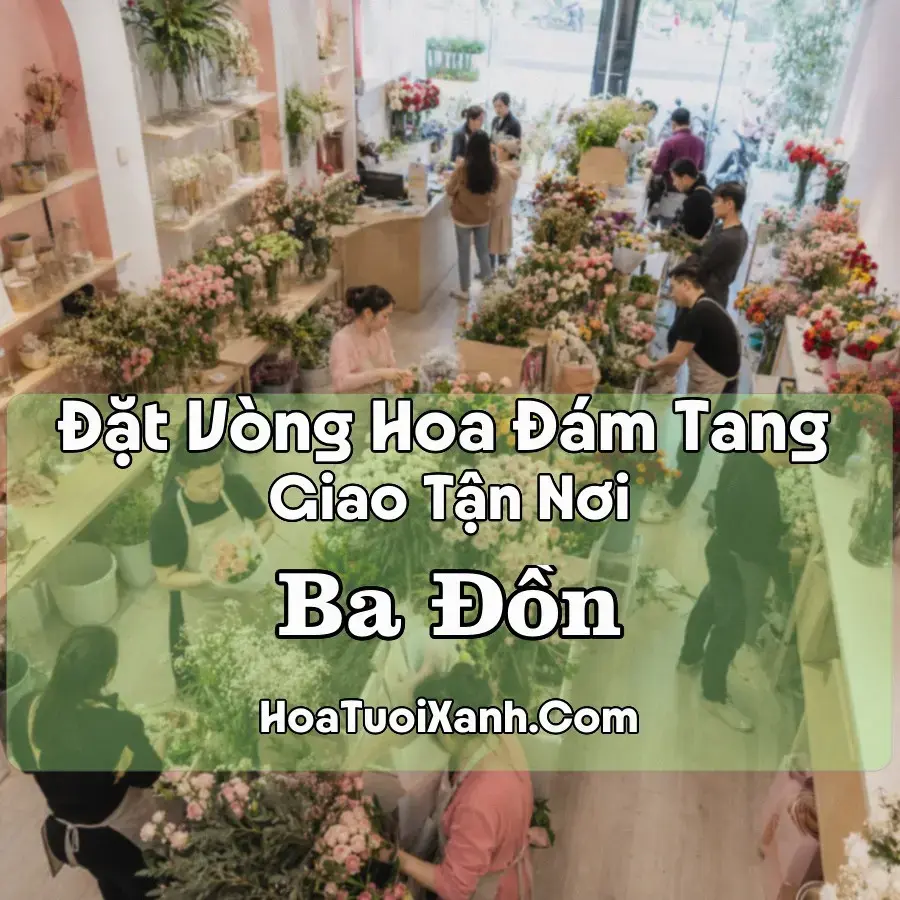 Hoa Đám Tang Ba Đồn (Phường Bắc Gianh, Ba Đồn, Quảng Trị mới)