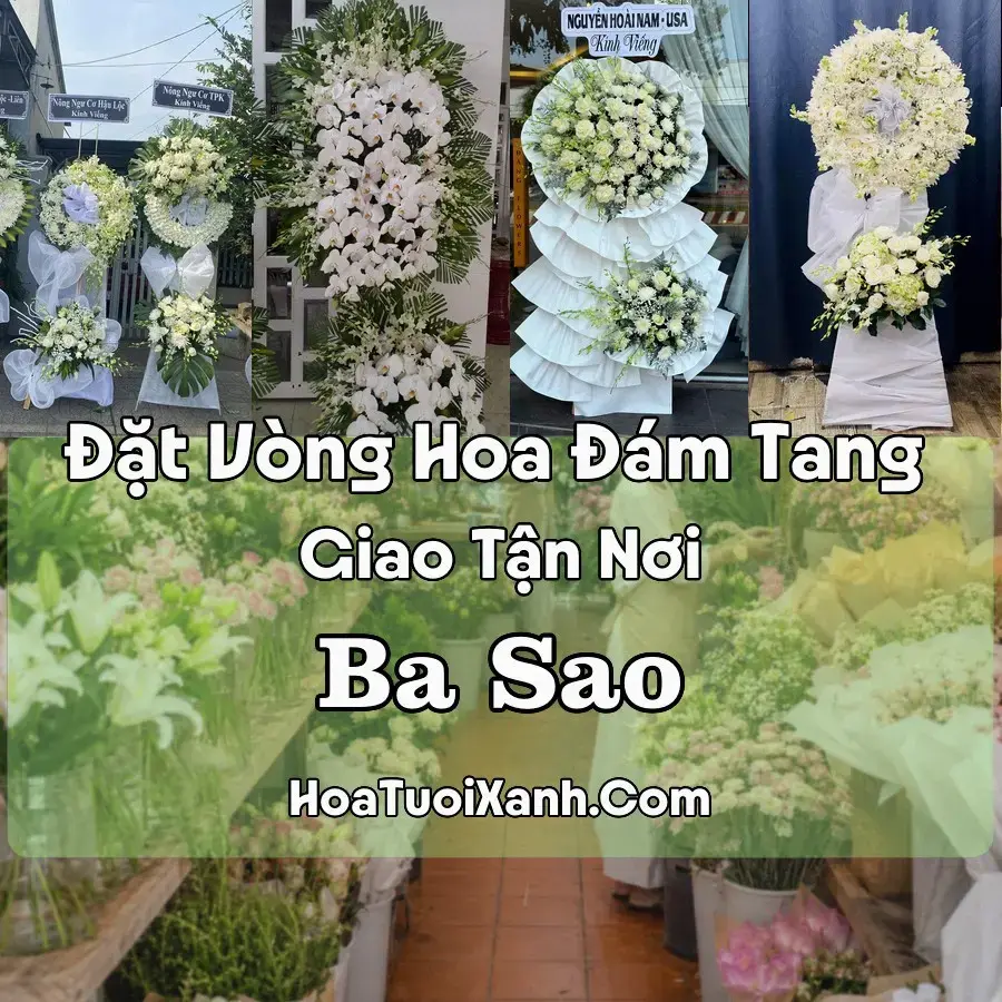 Hoa đám tang Ba Sao