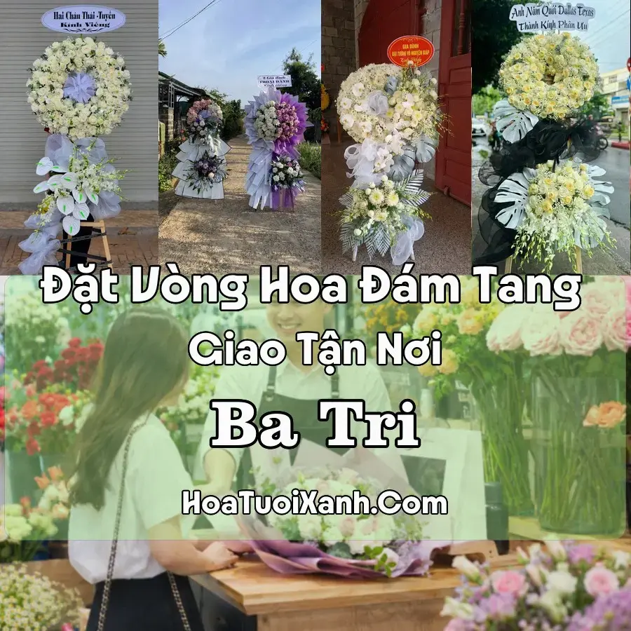 Hoa Đám Tang Ba Tri (Xã Ba Tri, Vĩnh Long mới)