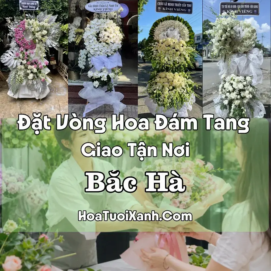 Hoa Đám Tang Bắc Hà (Xã Bắc Hà, Lào Cai mới)
