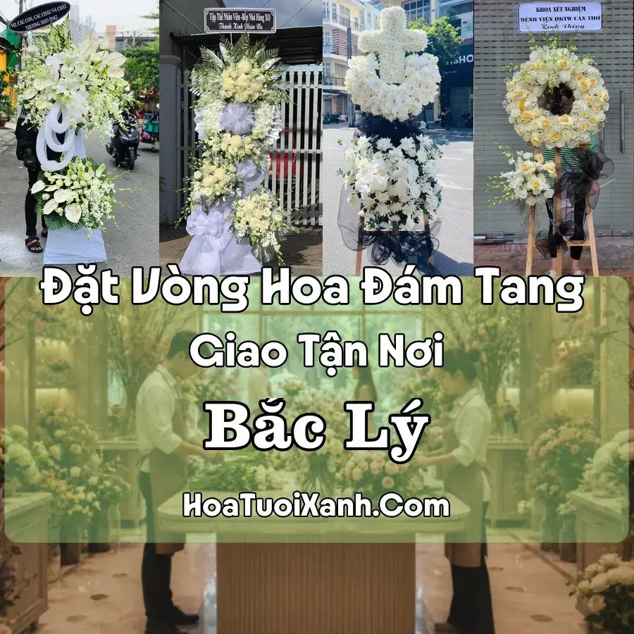 Hoa đám tang Bắc Lý