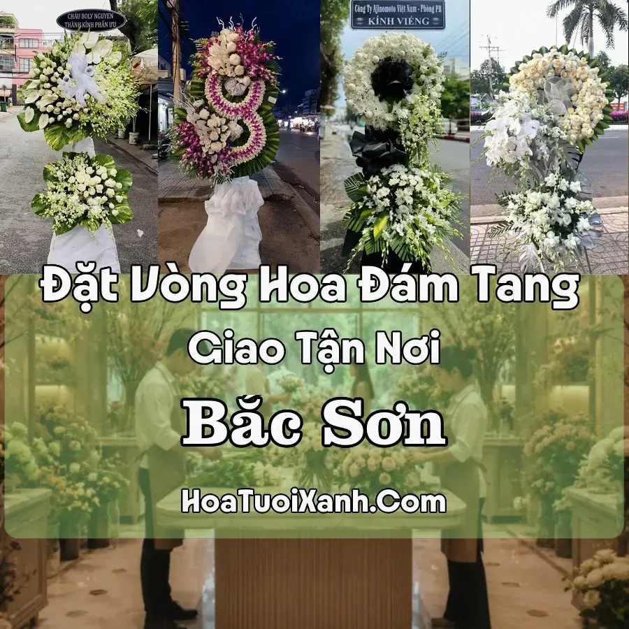 Hoa Đám Tang Bắc Sơn (Xã Bắc Sơn, Lạng Sơn mới)
