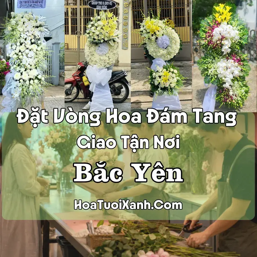 Hoa Đám Tang Bắc Yên (Xã Bắc Yên, Sơn La mới)